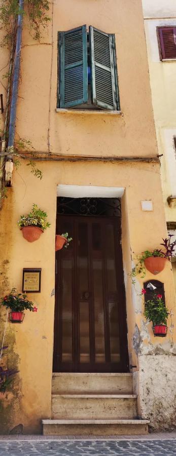 Affitto Turistico - La Terrazzina Apartment มอนเตโรตอนโด ภายนอก รูปภาพ